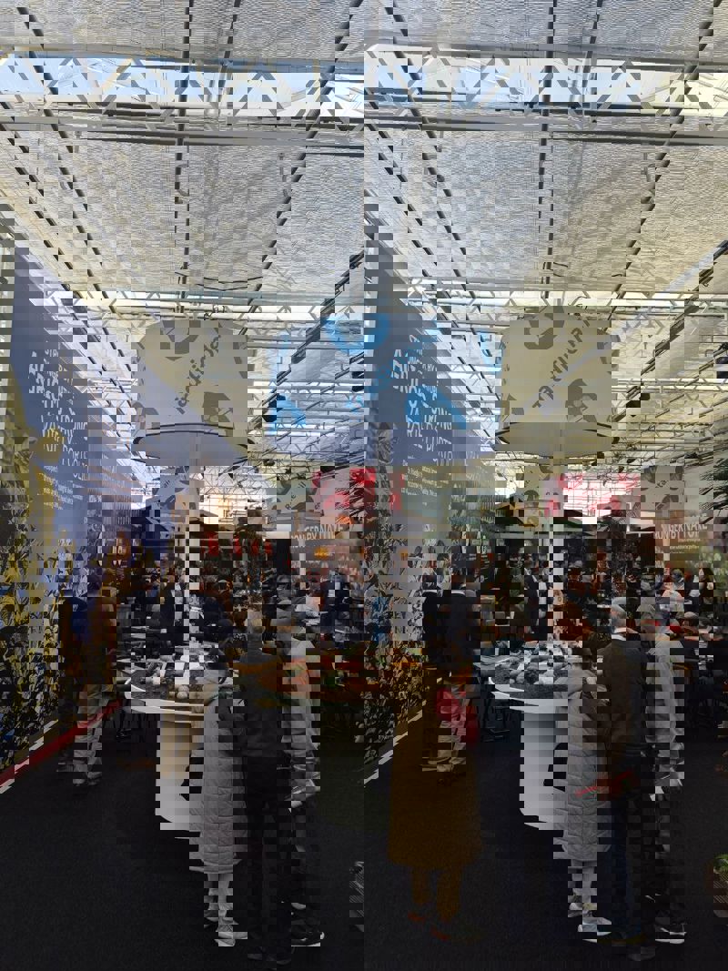 Photo 2025 11 07 16 34 36