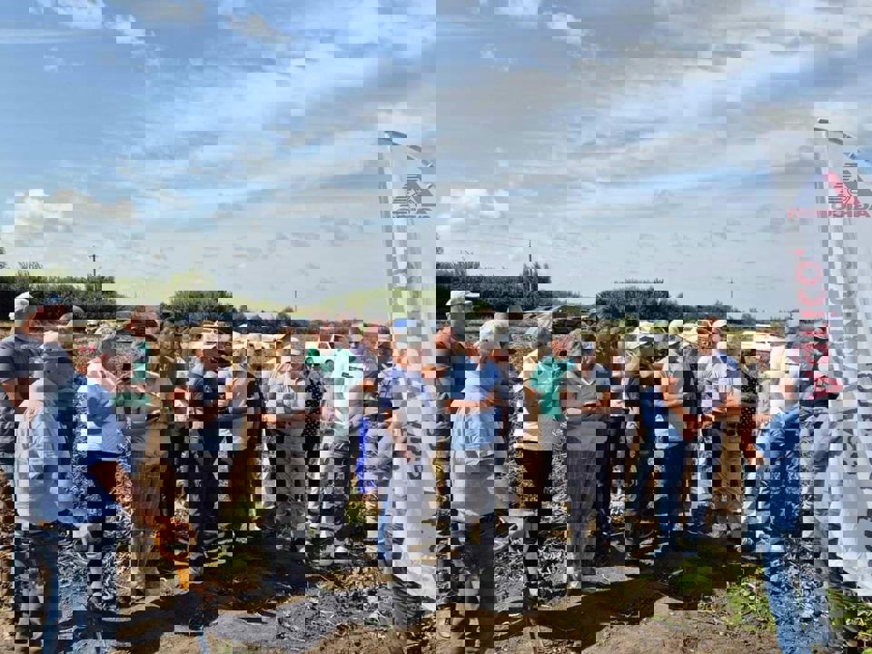 456557335 974557387802123 3446593144670586611 22.08.24