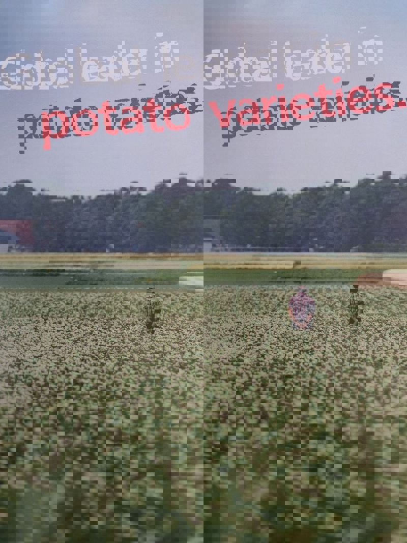 Photo 2025 11 07 16 35 51