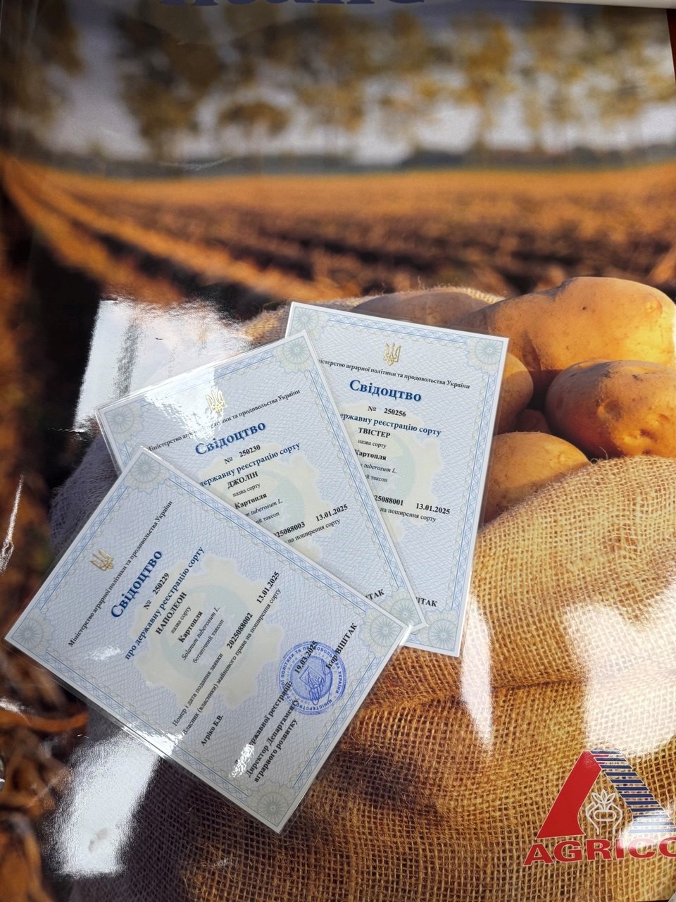 Seed potato sample bags with labels