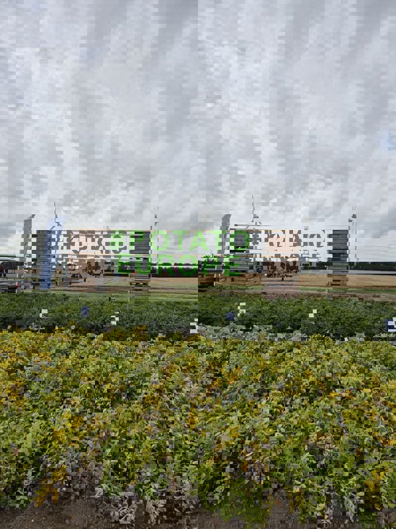 Photo 2025 09 04 14 04 55