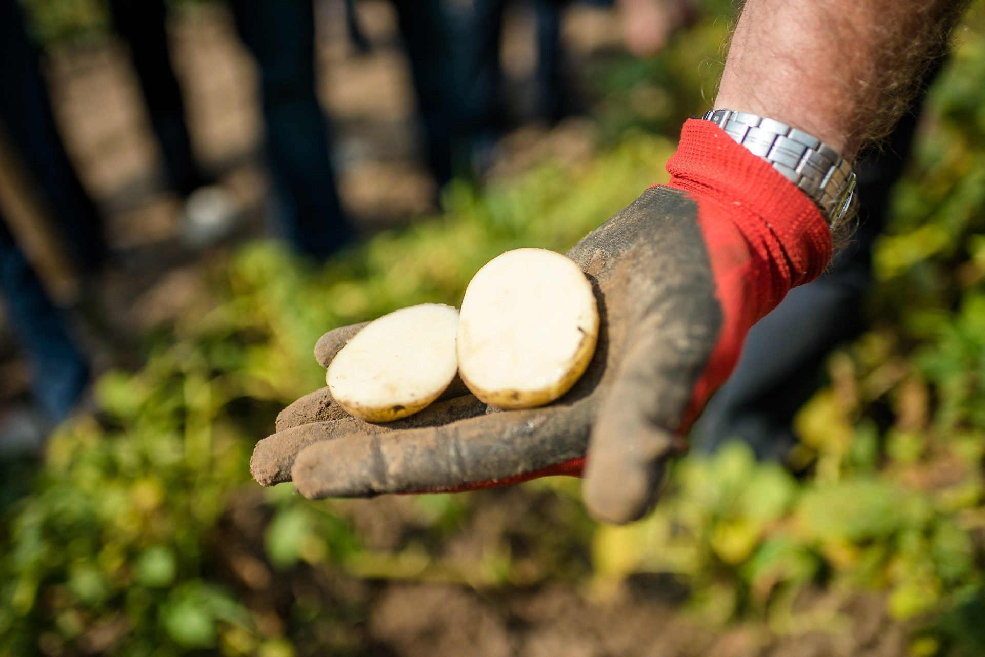 Dsc4712 35452163444 O