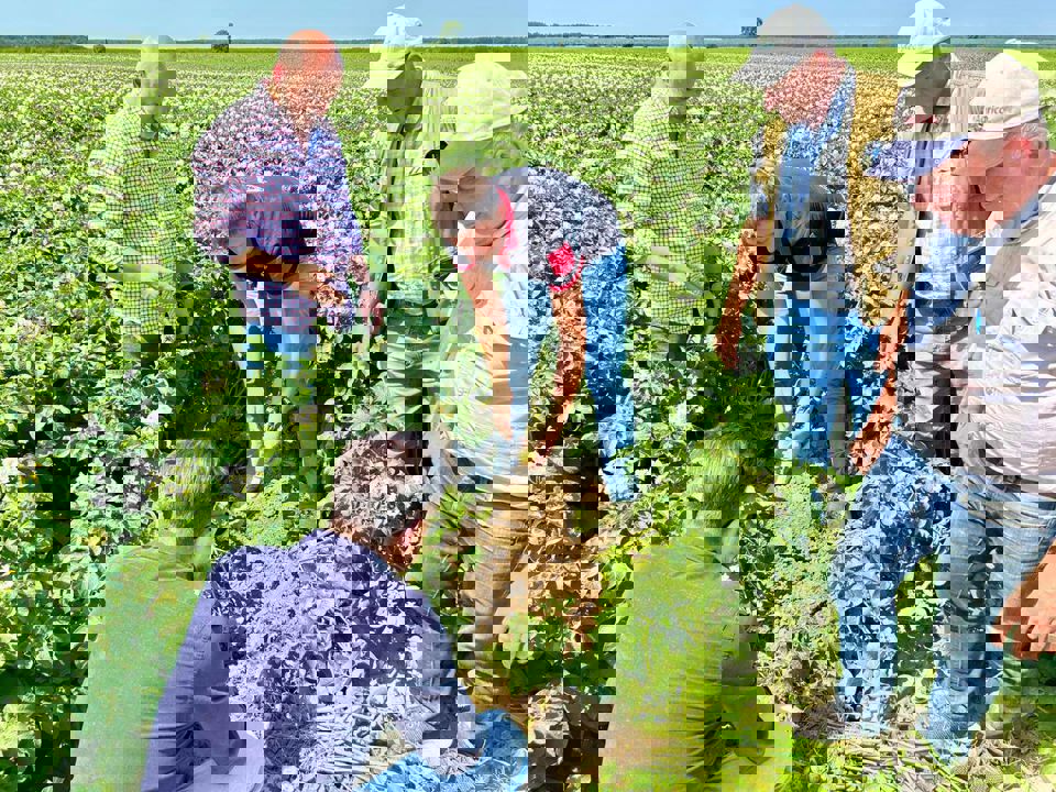 5246758720996761143 121