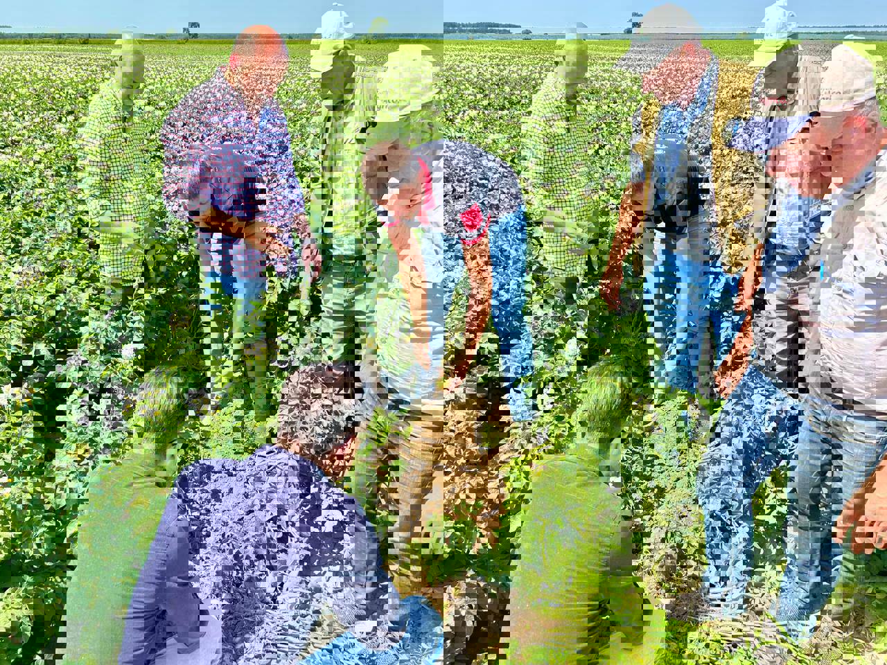 5246758720996761143 121