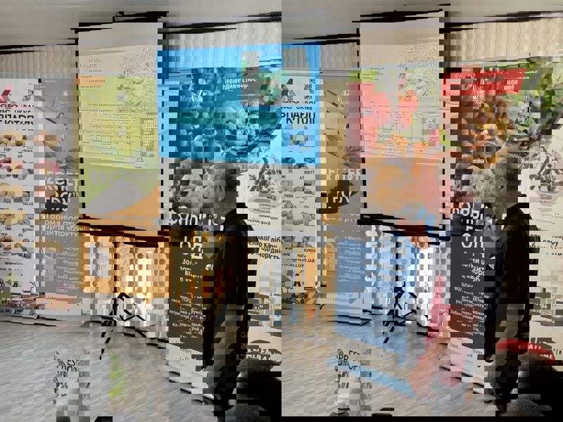 520383503 1218344150090111 6950405205022390735 N