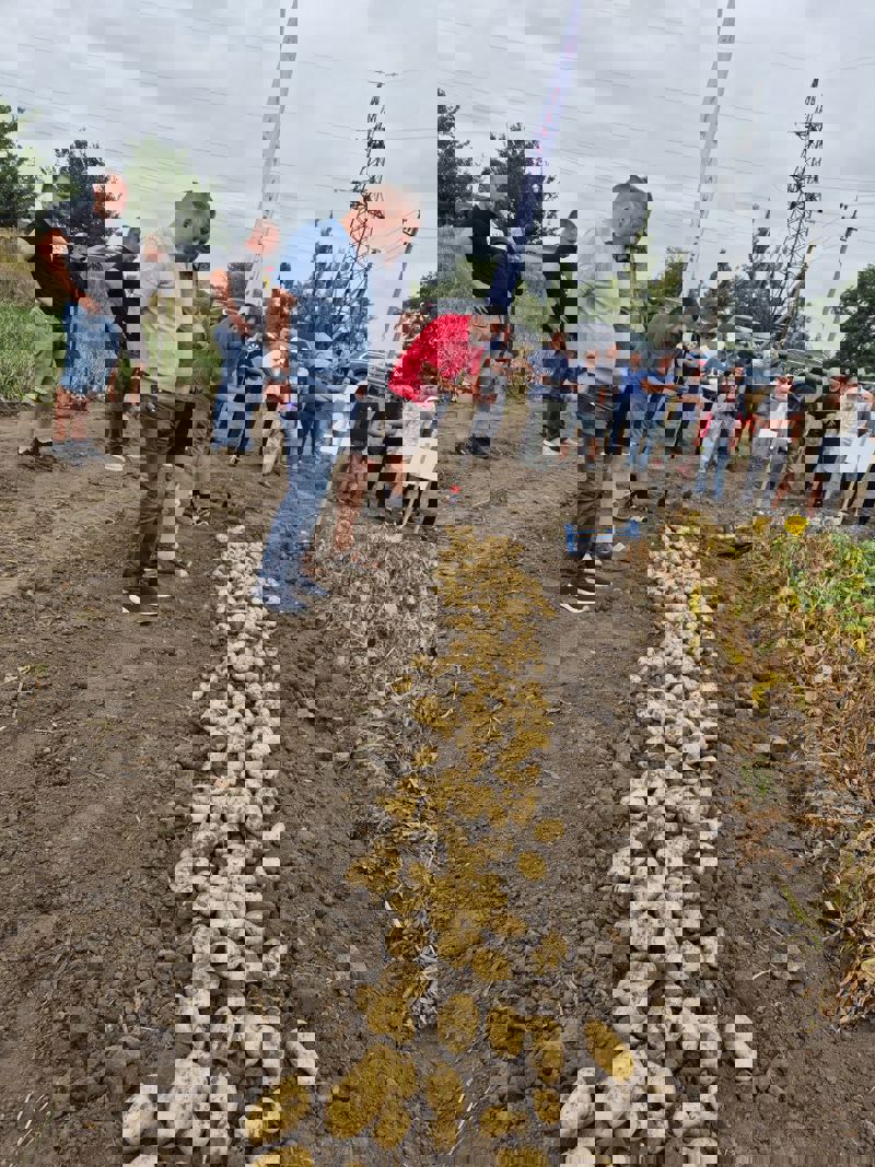528233754 1228674359057090 8246577478496651641 N