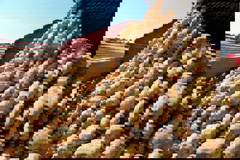244649678 4405567962813665 84529441924319824 N
