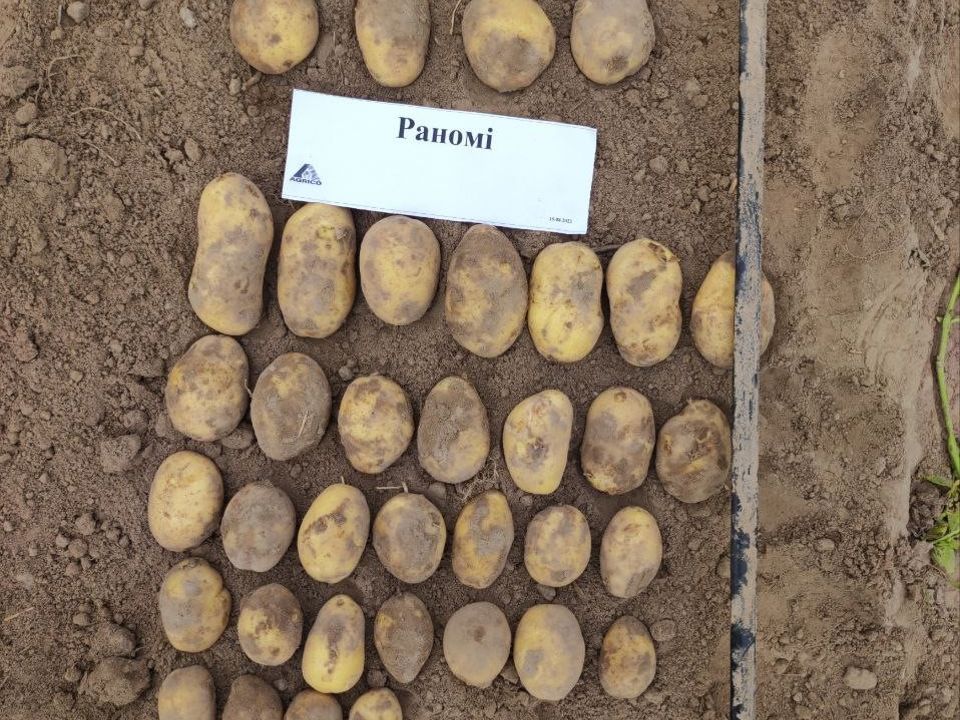 Раномі 3
