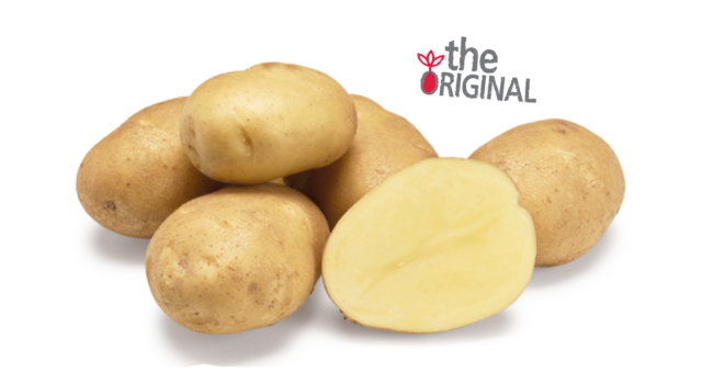 Aardappelras Fontane Agrico Original