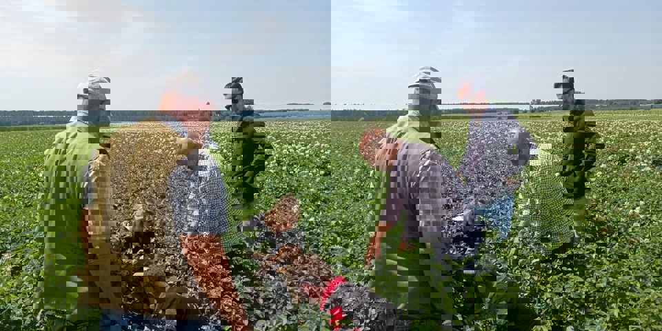 5246758720996761144 121