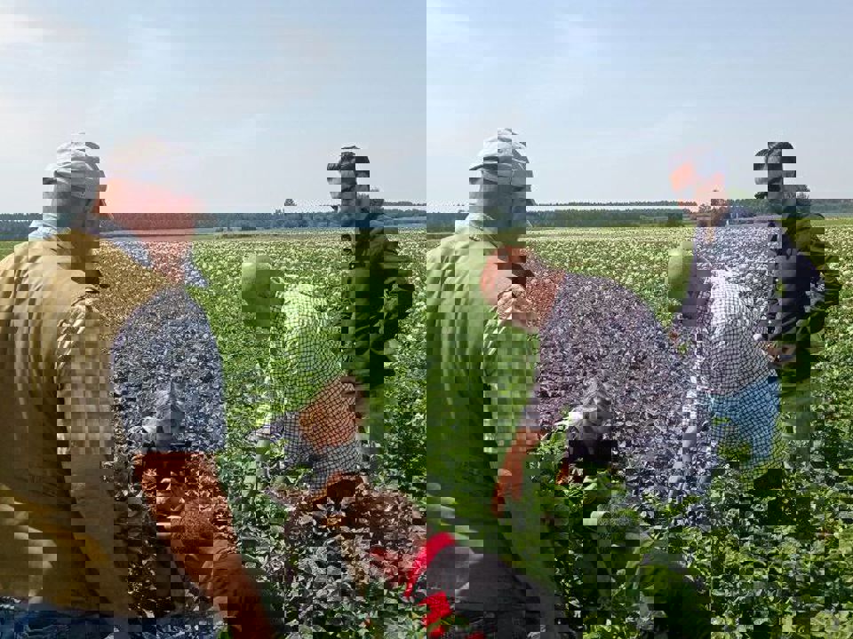 5246758720996761144 121