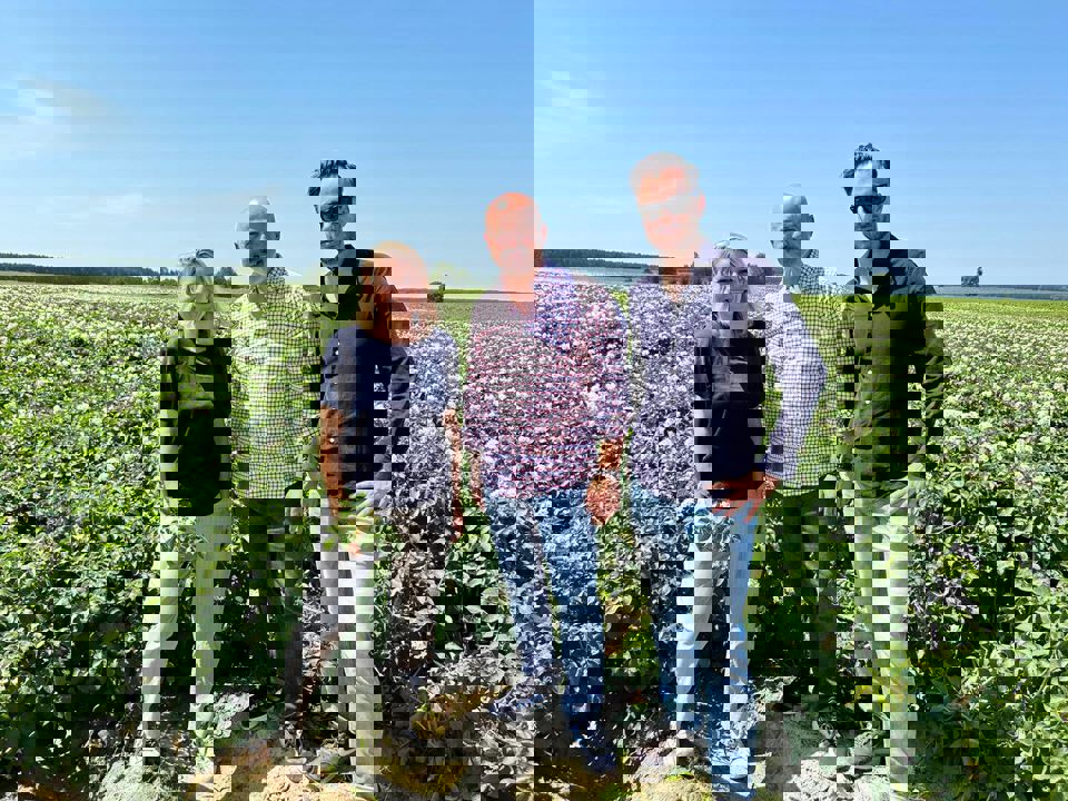 5246758720996761142 121