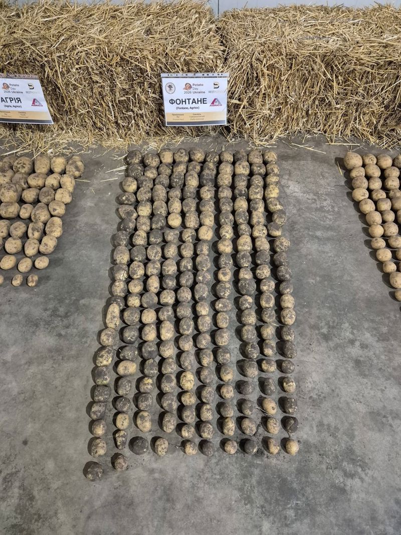 18 784981945 1549959210261935 5381240793305068140 N