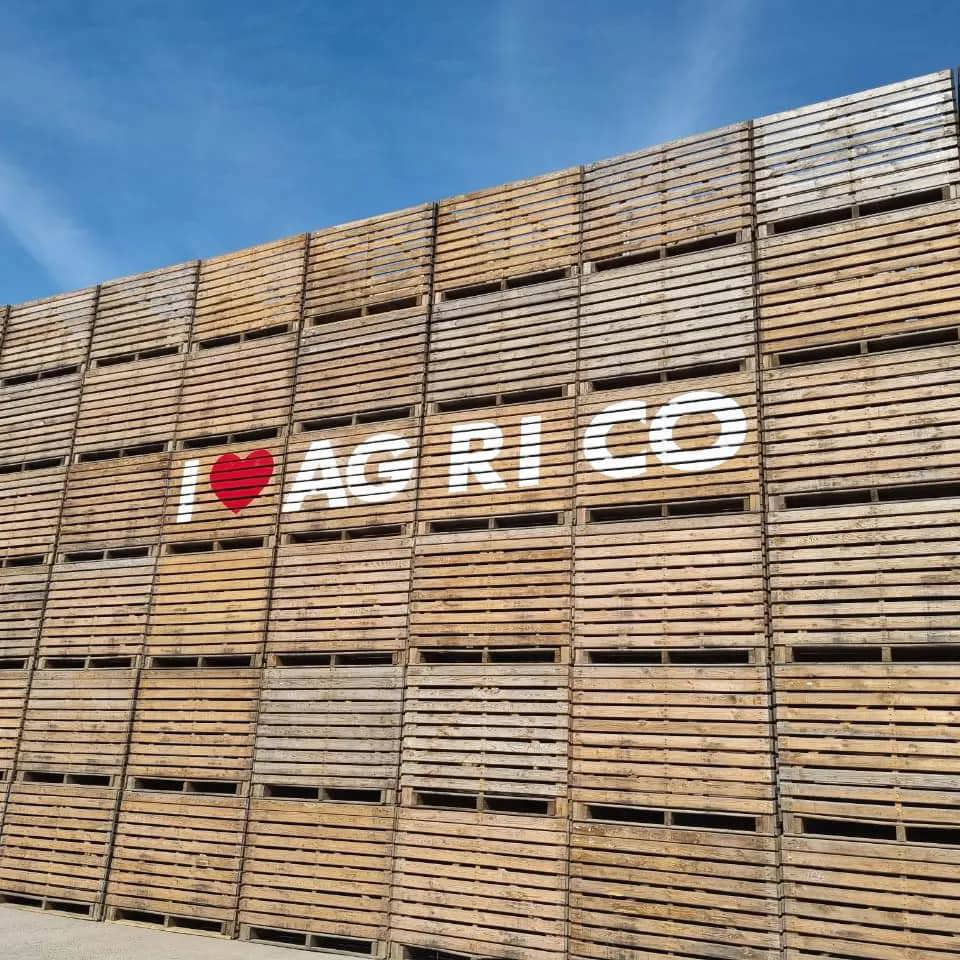 295798232 5318661378170981 1996203875631025783 N