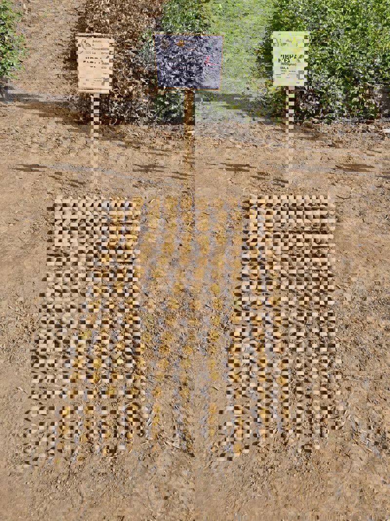 Photo 2025 09 02 15 08 02