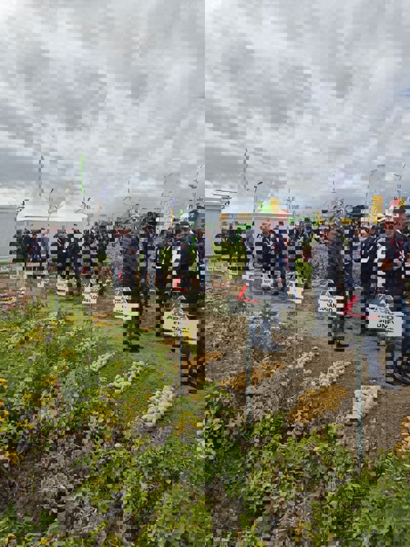 Photo 2025 09 04 14 04 53