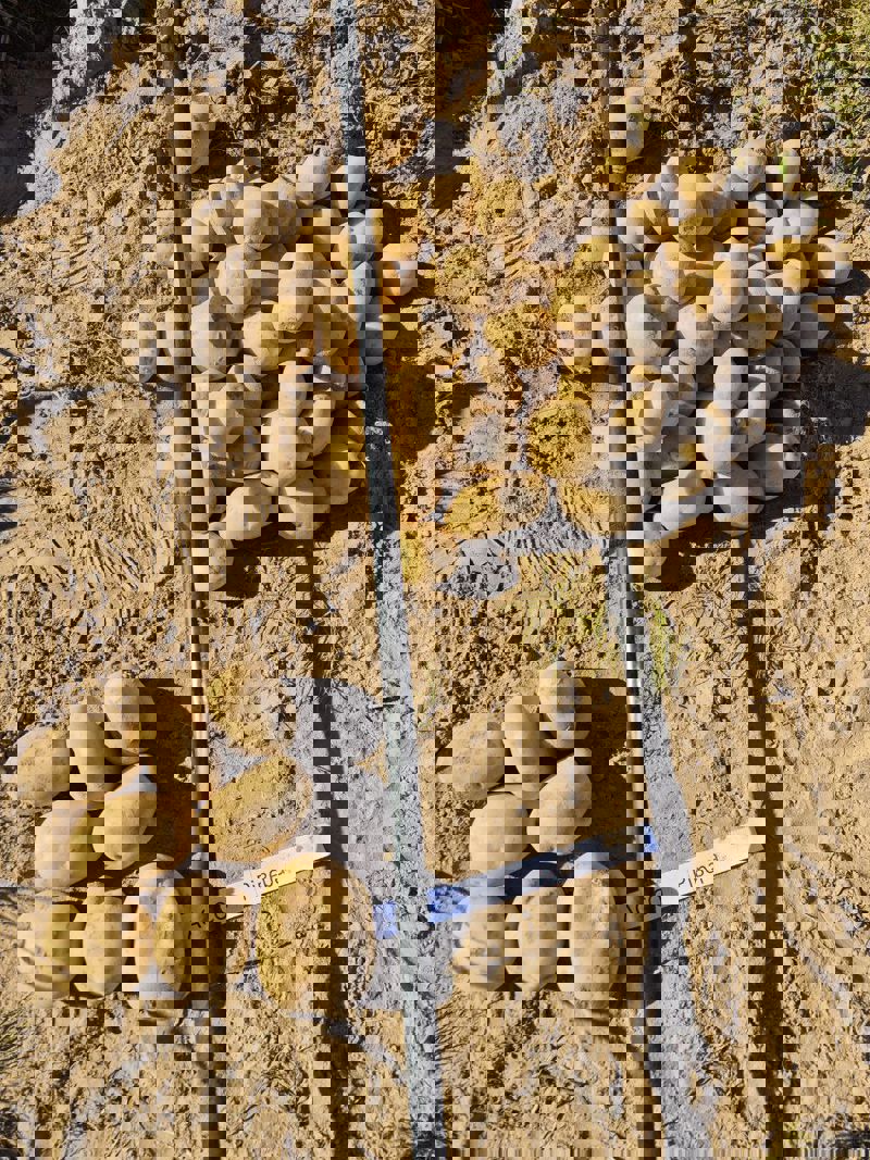 Photo 2025 09 23 17 06 00