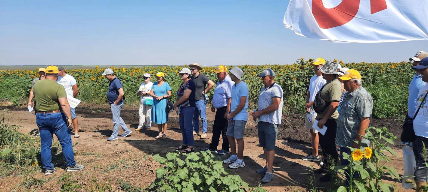 450940801 948544547070074 9053696285885553112 12.07.24