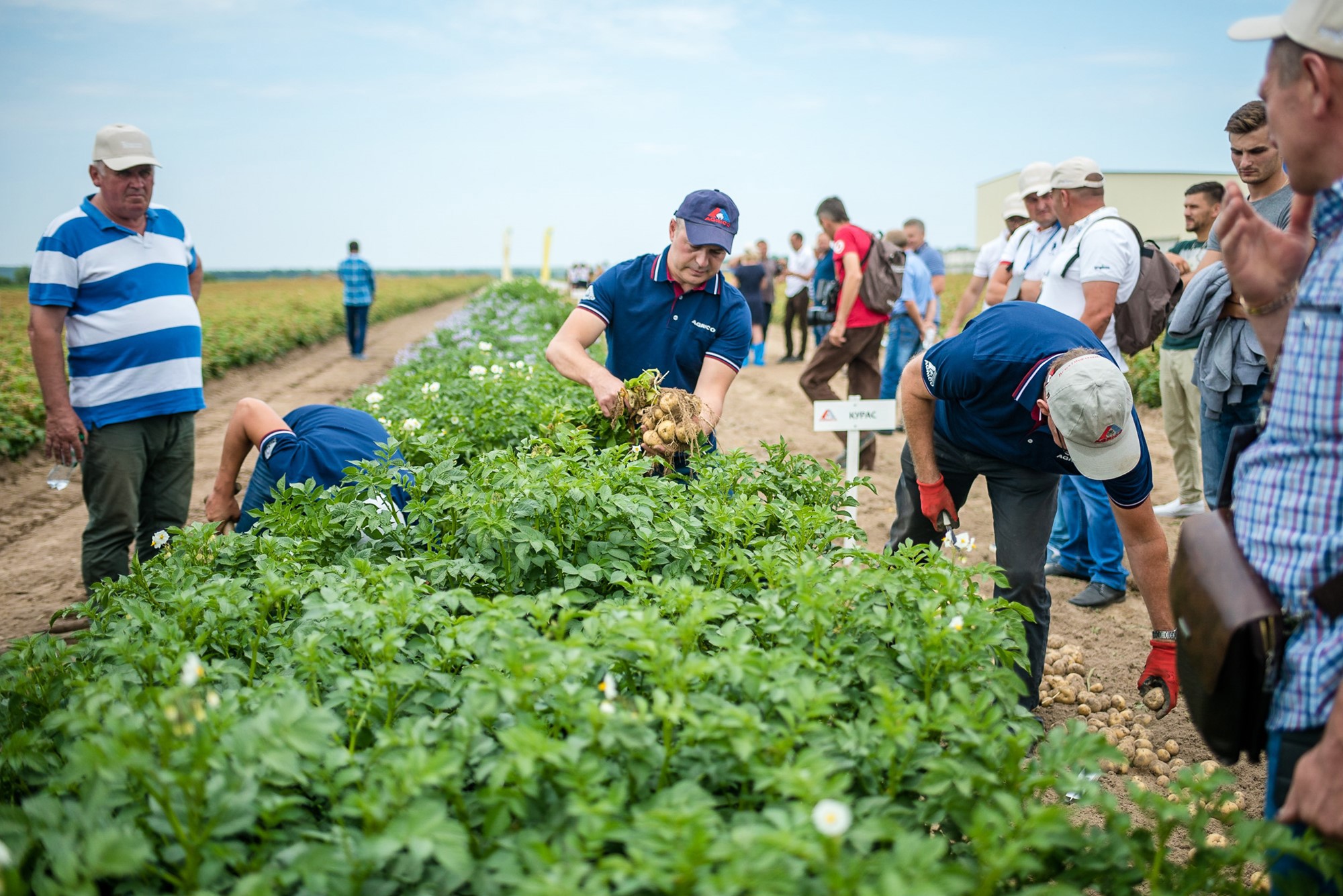 Dsc5124 36152950591 O