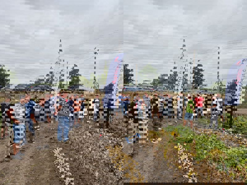 527604141 1228674289057097 2060127273650108067 N