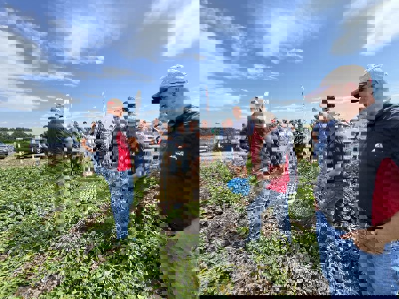 522215135 1218344423423417 343203022648447125 N