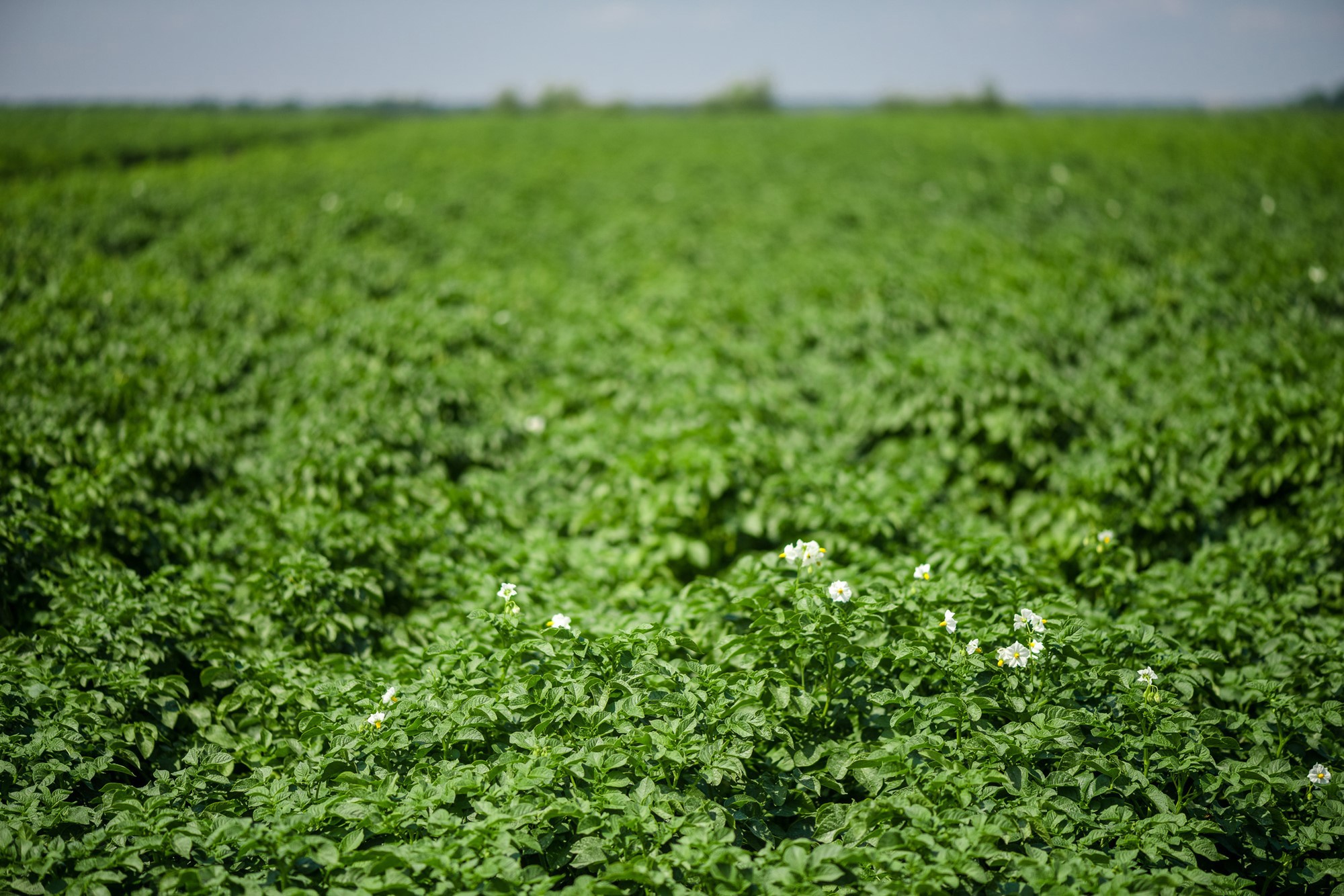 Dsc5863 35452110164 O (1)