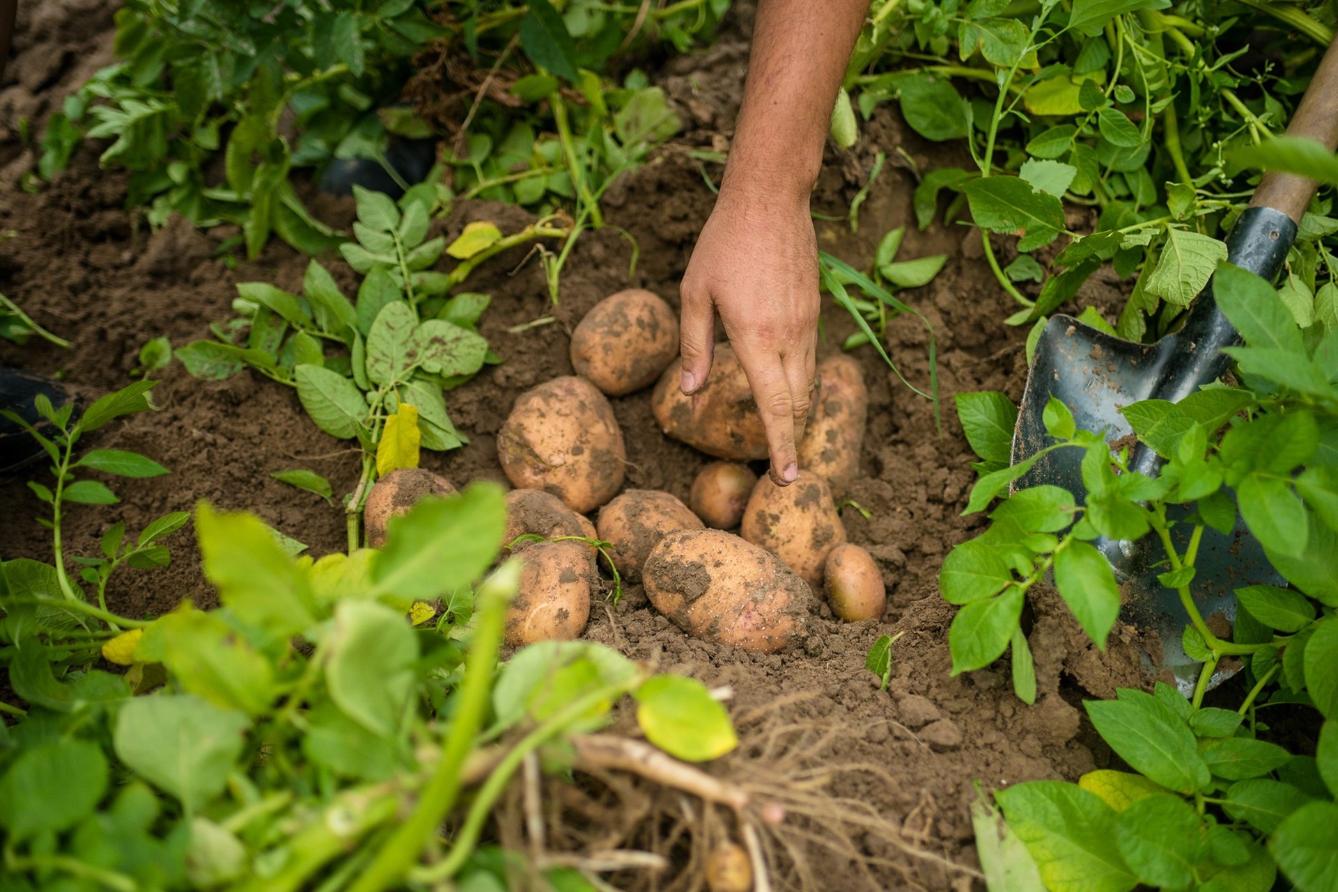 Dsc5338 35452133724 O