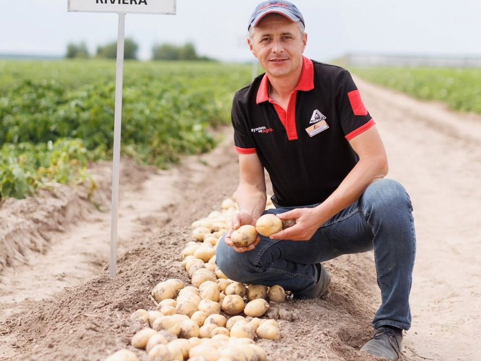 Зображення Viber 2025 05 12 13 05 34 699