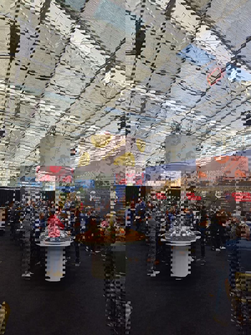 Photo 2025 11 07 16 35 43