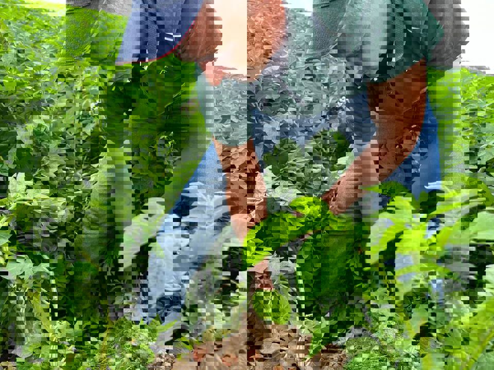 5246758720996761145 121